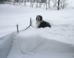 Sybil on the drift.jpg