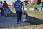 Sybil_attention heeling.JPG