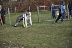 Sybil_first_jump.JPG