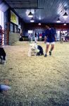 agility demo2.jpg