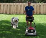 mower assistant1.jpg