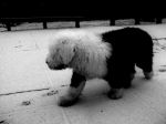 p_00181a.JPG