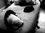p_00200.jpg