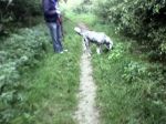 A good sniff.jpeg