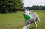 DSC_014233094432~0.JPG