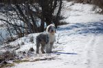 DSC_014633095032.JPG