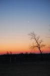 Feb 21, 2009 019.JPG