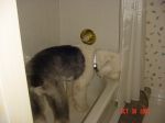 DSC00986.JPG