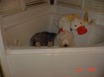 DSC01090.JPG