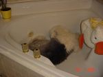 DSC01093.JPG