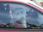 100_1418.jpg