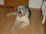 DSC00017.JPG
