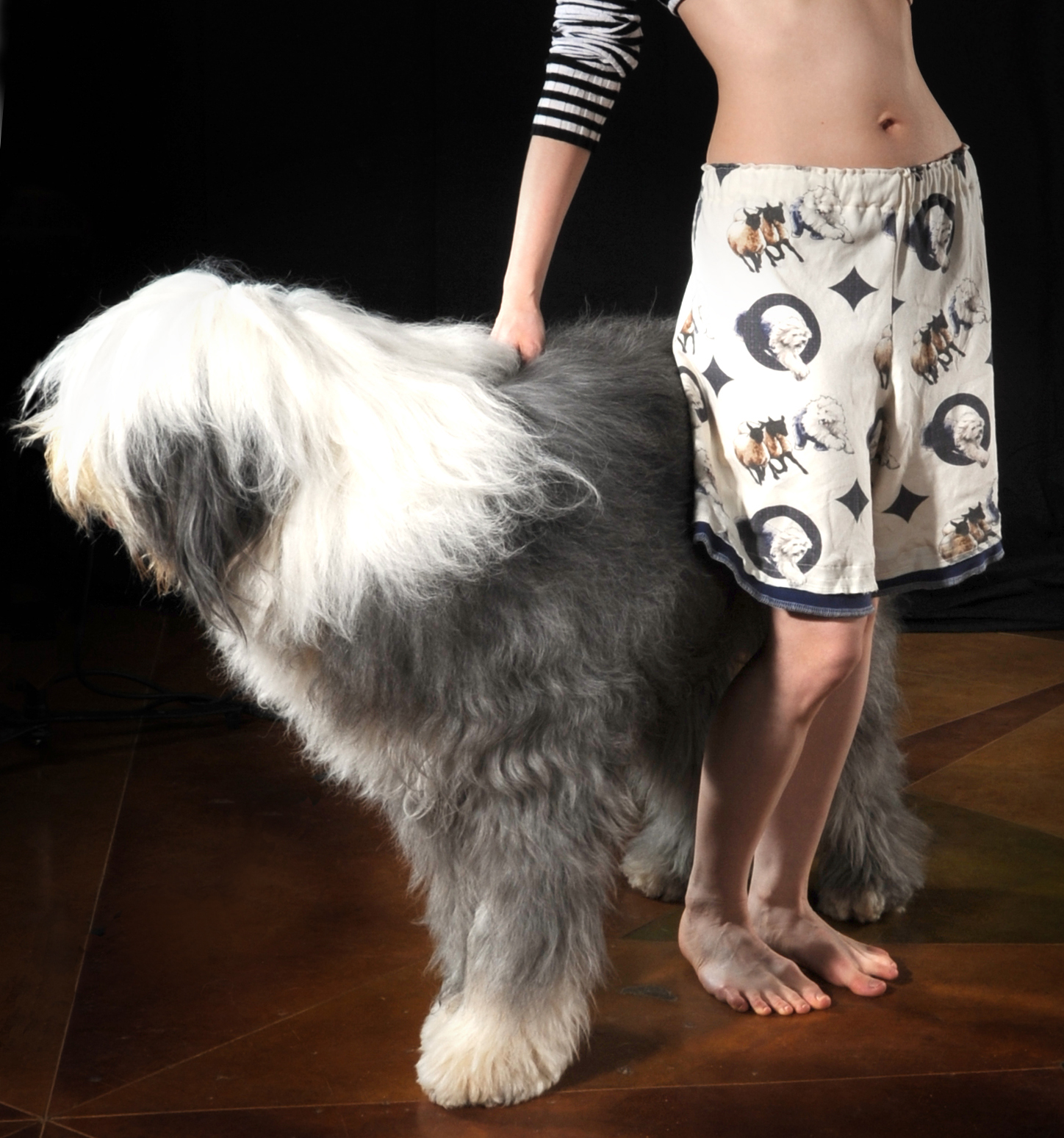 Old english sales sheepdog pajamas