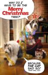 2011ChristmasCard_final.jpg