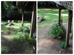 Garden_BeforeAfter.jpg