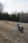 Minnesota_foursome03sm~0.jpg
