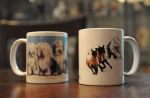 Mugs_01.jpg