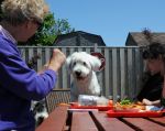 SheepdogShindig_PegMink2sm.jpg