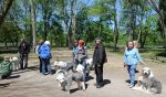 SheepdogShindig_group1sm.jpg