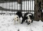 SnowDay_06sm.jpg