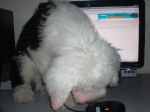 My baby 056.JPG