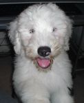 Olivers first day 013.JPG