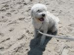 beach 011.JPG