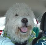 st patty_s day 001.JPG