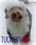 Tucker and Matunis 0192.jpg