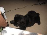 luke8weeks.jpg