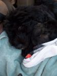 lukeasleepincar.jpg