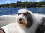 winnie-on-boat.JPG