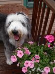 Summer 2006 037.jpg