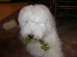 DSC00028.JPG