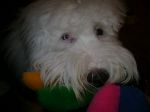 DSC00160.JPG