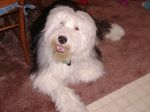 DSC00185.JPG