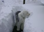 DSC01070.JPG
