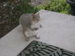 DSC01259.JPG