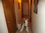 DSCF0787.JPG