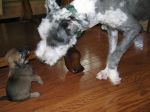 IMG_0883.JPG