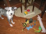 IMG_0889.JPG