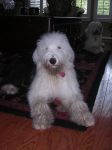 Summer08 002.jpg
