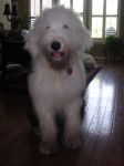 Summer08 004.jpg