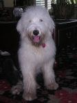 Summer08 006.jpg