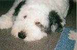 ruf.jpg