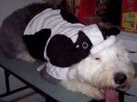 100_5051.JPG