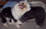100_5869 - Copy.JPG