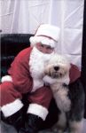 dublinandsanta.jpg