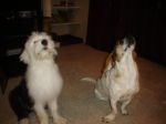 DSC01299.JPG