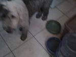 07-25-07_0813.jpg